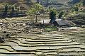 Sapa 14